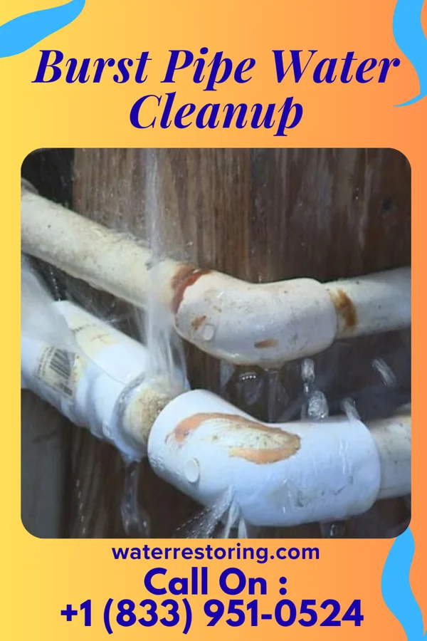 Burst Pipe Water Cleanup in North Bay Shore, NY