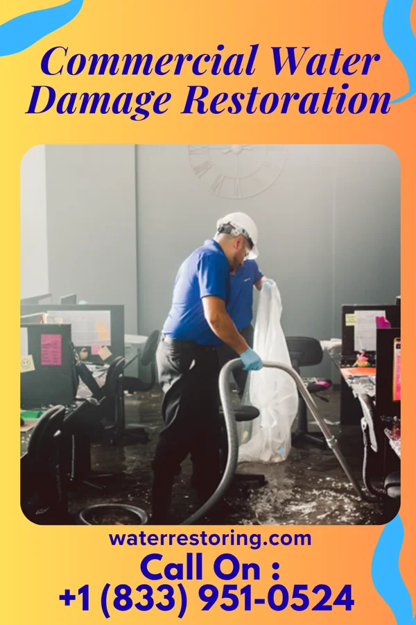 Commercial Water Damage Restoration in North Bay Shore, NY