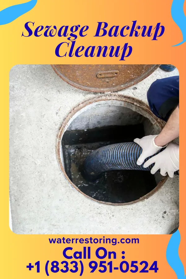 Sewage Backup Cleanup in North Bay Shore, NY