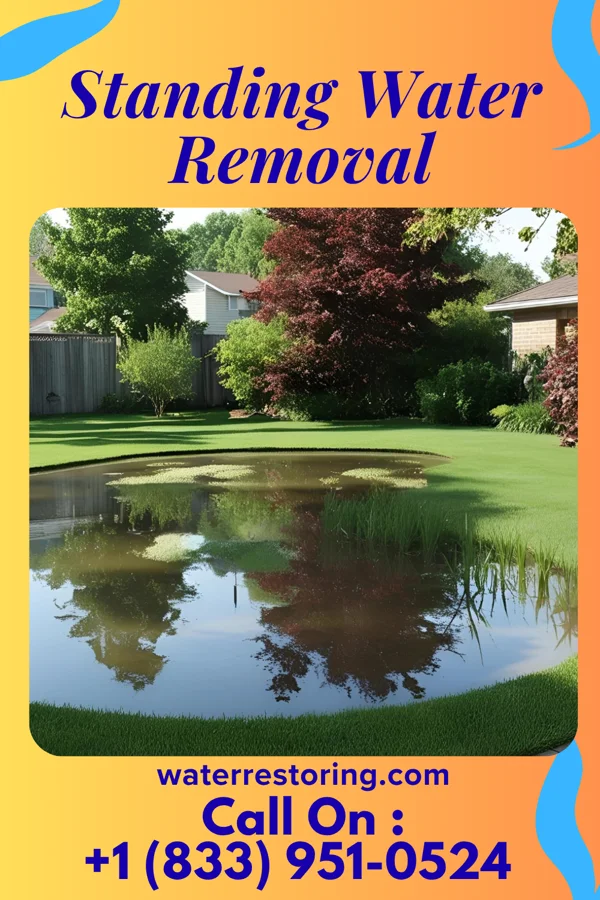 Standing Water Removal in North Bay Shore, NY